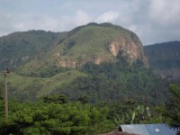 /album/photos-du-togo/a100-0948-jpg/